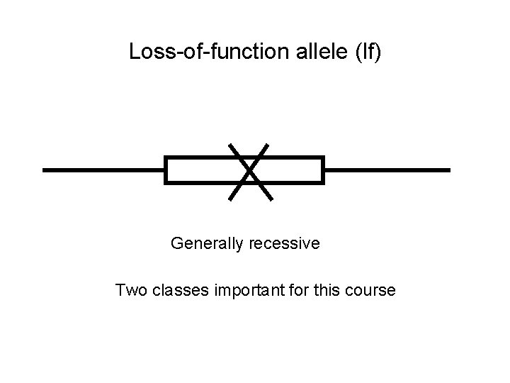 Loss-of-function allele (lf) Generally recessive Two classes important for this course 