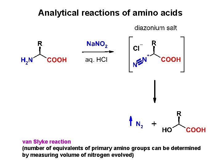 Analytical reactions of amino acids van Slyke reaction (number of equivalents of primary amino