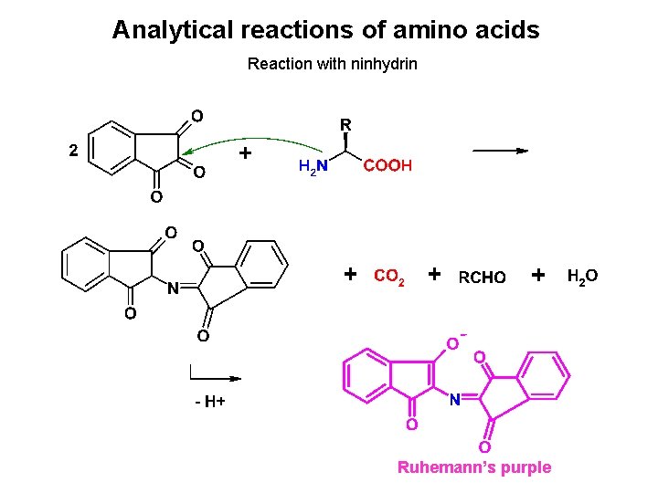 Analytical reactions of amino acids Reaction with ninhydrin Ruhemann’s purple 