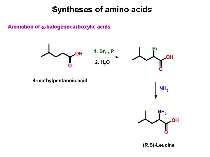 Syntheses of amino acids Amination of -halogenocarboxylic acids 