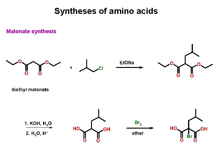 Syntheses of amino acids Malonate synthesis 