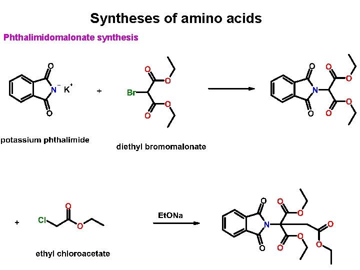 Syntheses of amino acids Phthalimidomalonate synthesis 