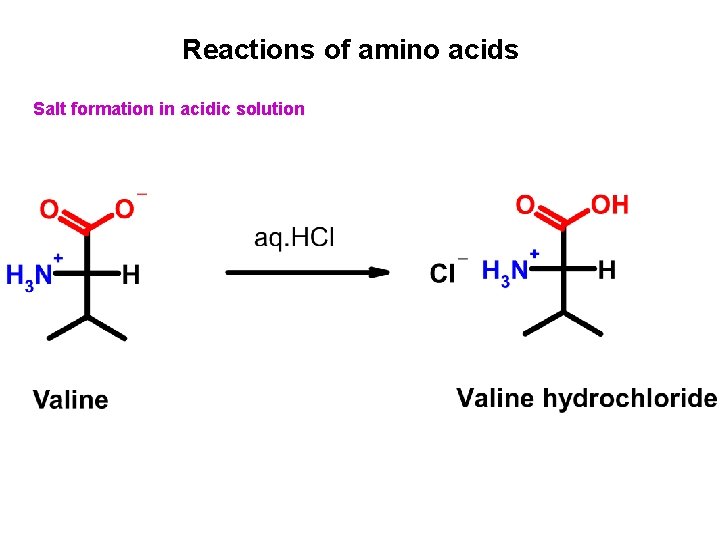 Reactions of amino acids Salt formation in acidic solution 