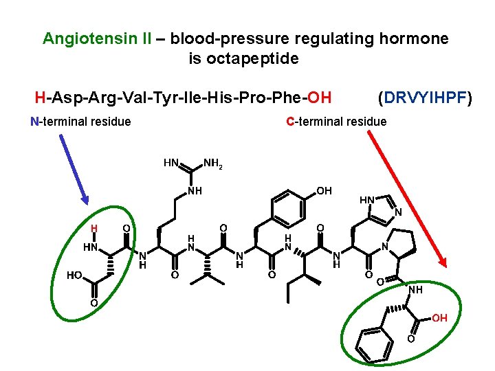 Angiotensin II – blood-pressure regulating hormone is octapeptide H-Asp-Arg-Val-Tyr-Ile-His-Pro-Phe-OH N-terminal residue (DRVYIHPF) C-terminal residue