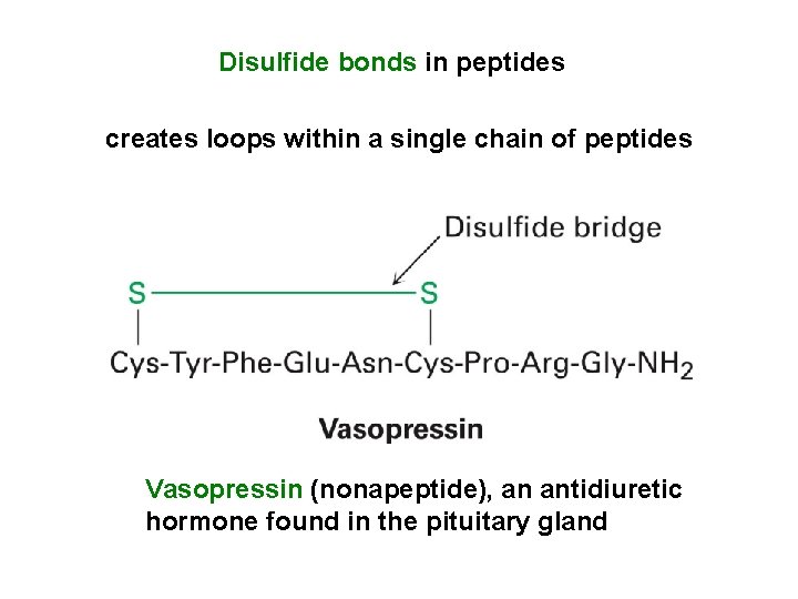 Disulfide bonds in peptides creates loops within a single chain of peptides Vasopressin (nonapeptide),