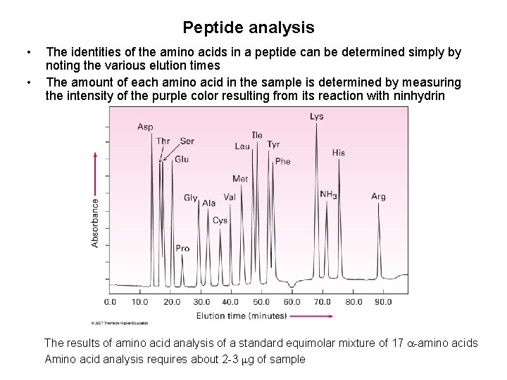 Peptide analysis • • The identities of the amino acids in a peptide can