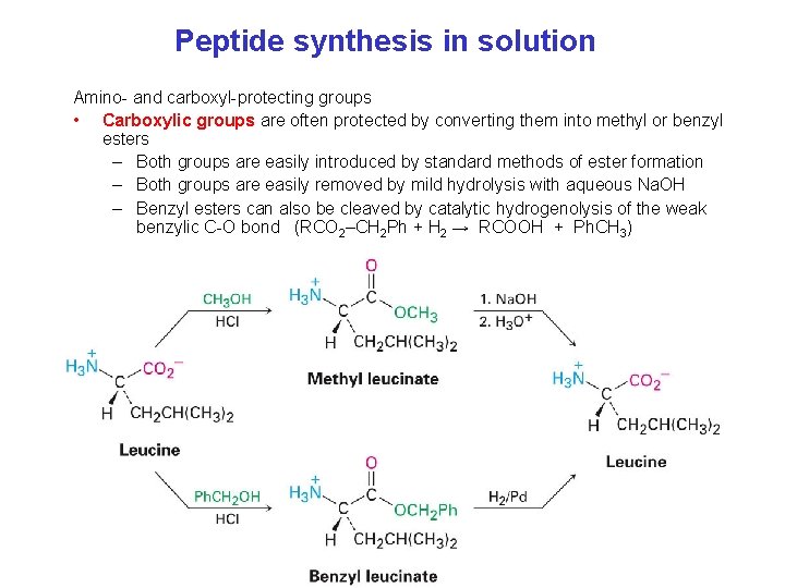 Peptide synthesis in solution Amino- and carboxyl-protecting groups • Carboxylic groups are often protected