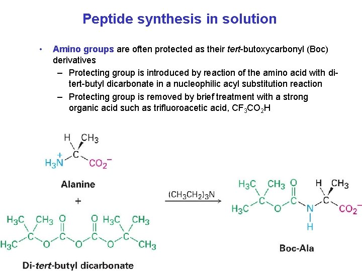 Peptide synthesis in solution • Amino groups are often protected as their tert-butoxycarbonyl (Boc)