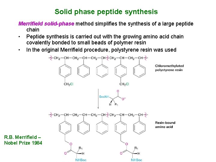 Solid phase peptide synthesis Merrifield solid-phase method simplifies the synthesis of a large peptide