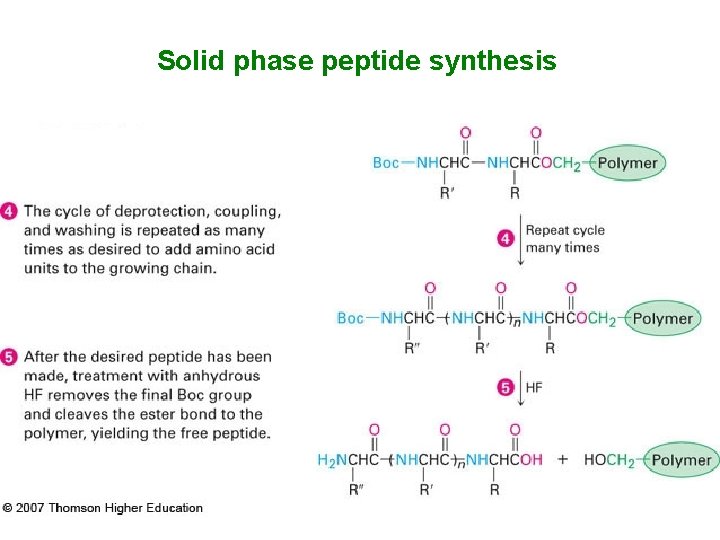 Solid phase peptide synthesis 