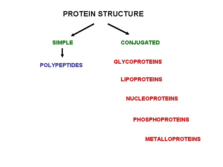 PROTEIN STRUCTURE SIMPLE POLYPEPTIDES CONJUGATED GLYCOPROTEINS LIPOPROTEINS NUCLEOPROTEINS PHOSPHOPROTEINS METALLOPROTEINS 