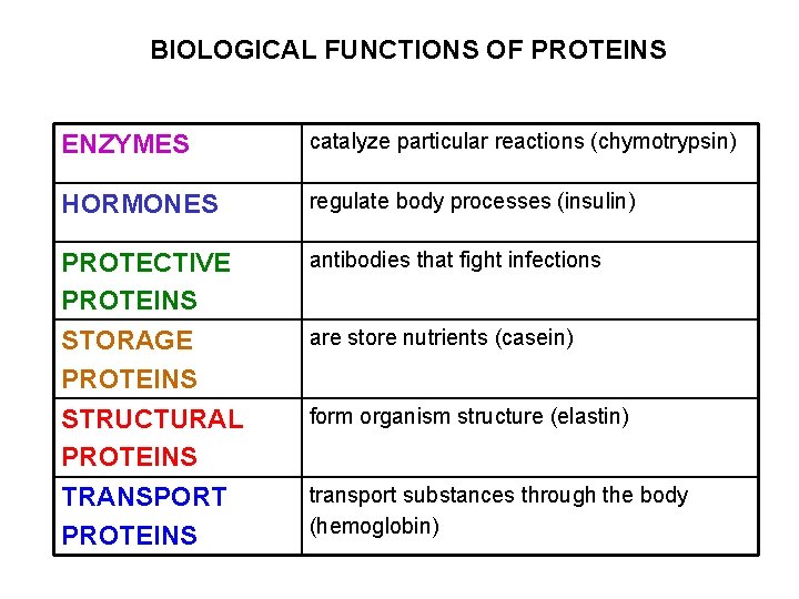 BIOLOGICAL FUNCTIONS OF PROTEINS ENZYMES catalyze particular reactions (chymotrypsin) HORMONES regulate body processes (insulin)