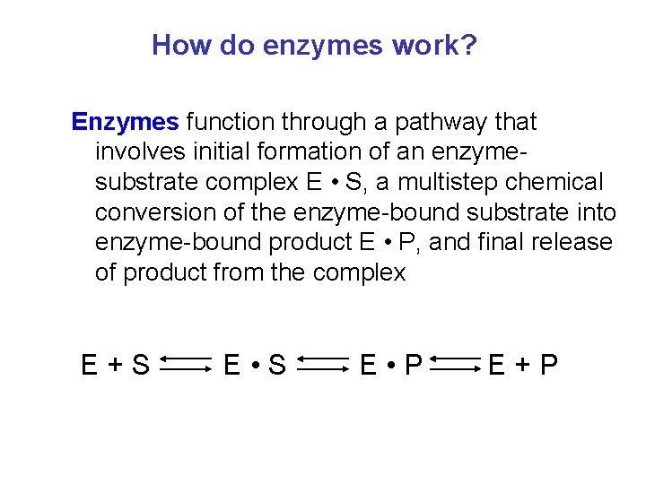 How do enzymes work? Enzymes function through a pathway that involves initial formation of