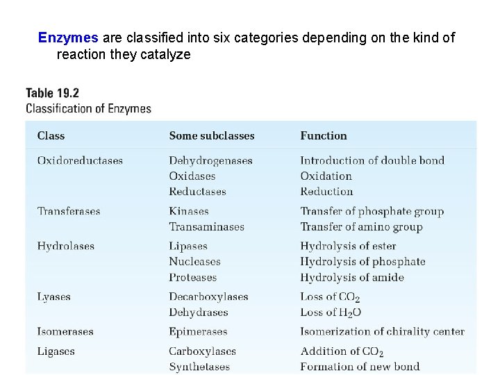 Enzymes are classified into six categories depending on the kind of reaction they catalyze