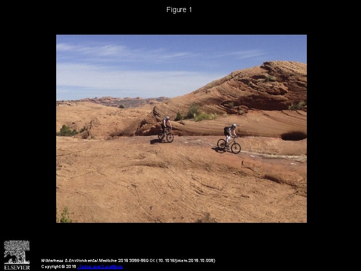Figure 1 Wilderness & Environmental Medicine 2019 3086 -89 DOI: (10. 1016/j. wem. 2018.