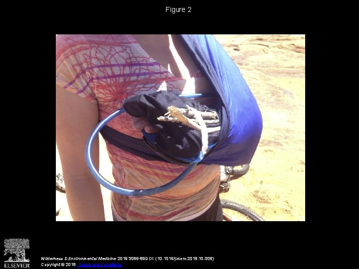 Figure 2 Wilderness & Environmental Medicine 2019 3086 -89 DOI: (10. 1016/j. wem. 2018.