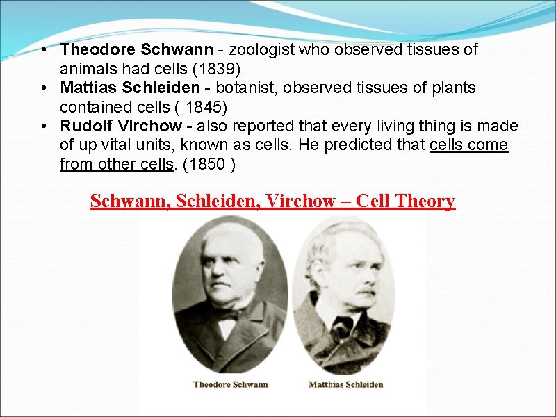  • Theodore Schwann - zoologist who observed tissues of animals had cells (1839)