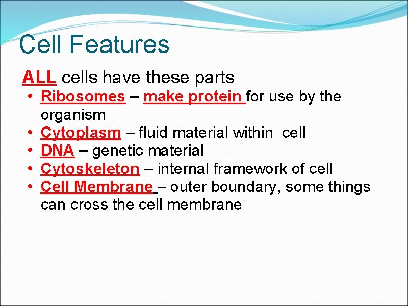 Cell Features ALL cells have these parts • Ribosomes – make protein for use