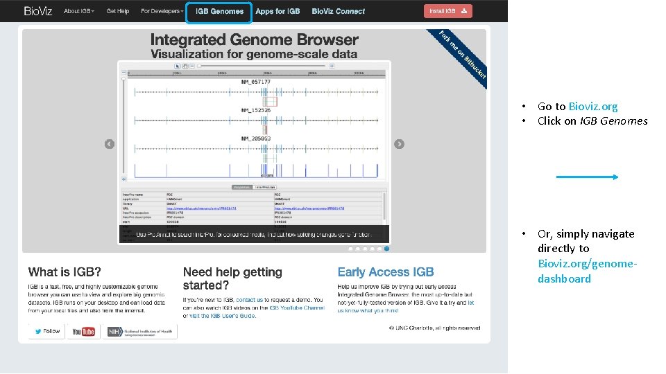  • Go to Bioviz. org • Click on IGB Genomes • Or, simply