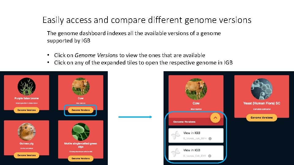 Easily access and compare different genome versions The genome dashboard indexes all the available