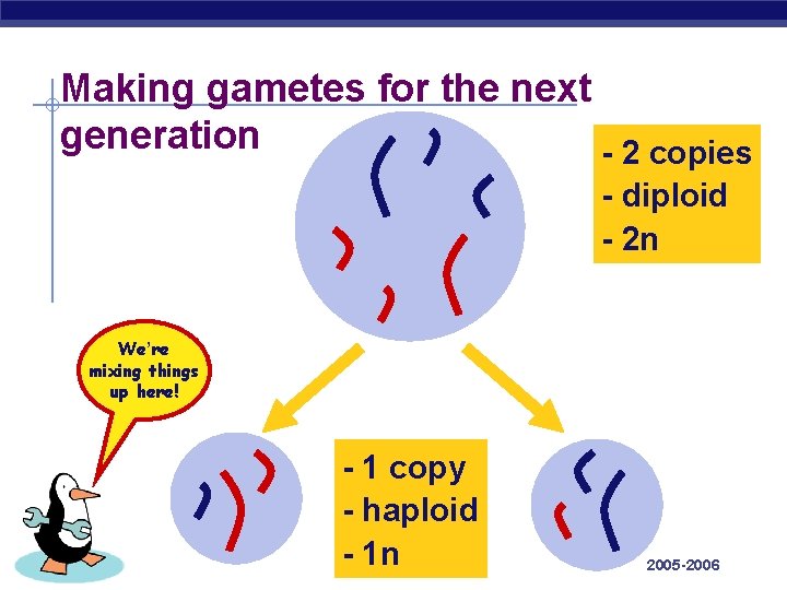 Making gametes for the next generation - 2 copies - diploid - 2 n