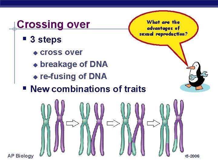 Crossing over § 3 steps What are the advantages of sexual reproduction? cross over