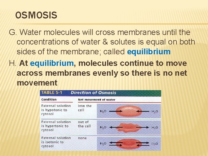 OSMOSIS G. Water molecules will cross membranes until the concentrations of water & solutes