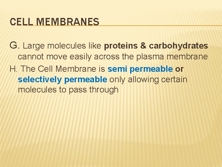 CELL MEMBRANES G. Large molecules like proteins & carbohydrates cannot move easily across the