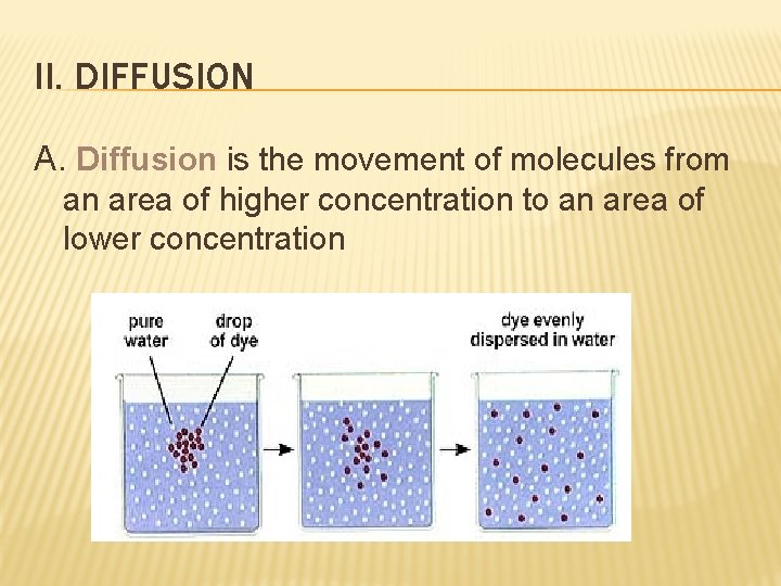 II. DIFFUSION A. Diffusion is the movement of molecules from an area of higher