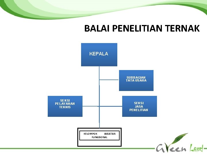 BALAI PENELITIAN TERNAK KEPALA SUBBAGIAN TATA USAHA SEKSI PELAYANAN TEKNIS SEKSI JASA PENELITIAN KELOMPOK