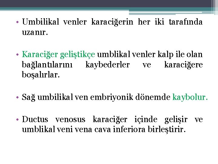  • Umbilikal venler karaciğerin her iki tarafında uzanır. • Karaciğer geliştikçe umblikal venler