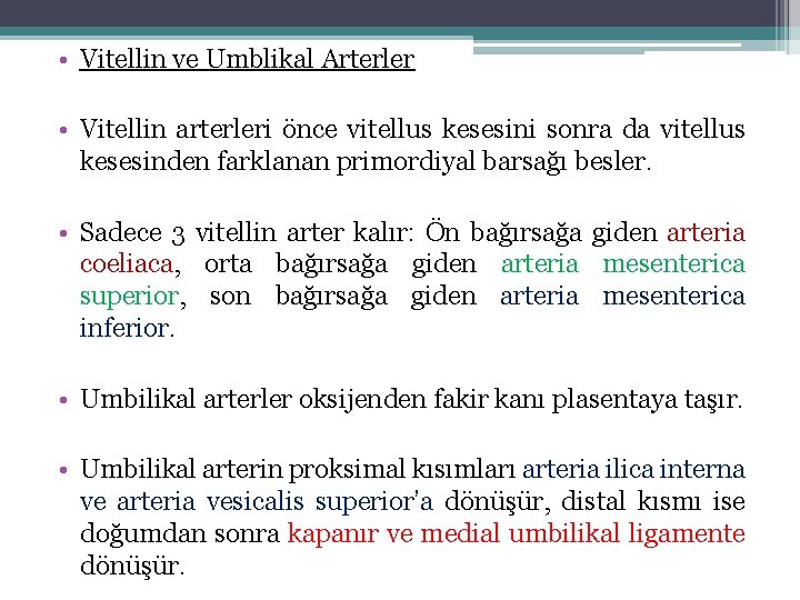  • Vitellin ve Umblikal Arterler • Vitellin arterleri önce vitellus kesesini sonra da