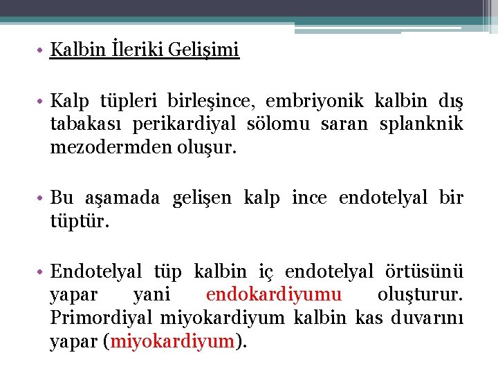  • Kalbin İleriki Gelişimi • Kalp tüpleri birleşince, embriyonik kalbin dış tabakası perikardiyal