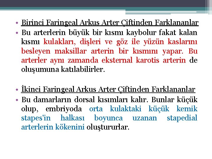  • Birinci Faringeal Arkus Arter Çiftinden Farklananlar • Bu arterlerin büyük bir kısmı