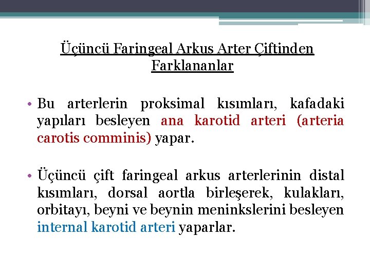 Üçüncü Faringeal Arkus Arter Çiftinden Farklananlar • Bu arterlerin proksimal kısımları, kafadaki yapıları besleyen