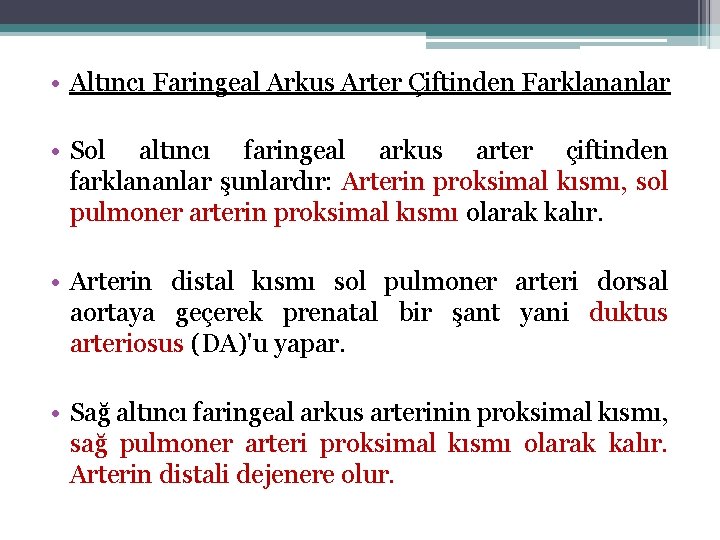  • Altıncı Faringeal Arkus Arter Çiftinden Farklananlar • Sol altıncı faringeal arkus arter