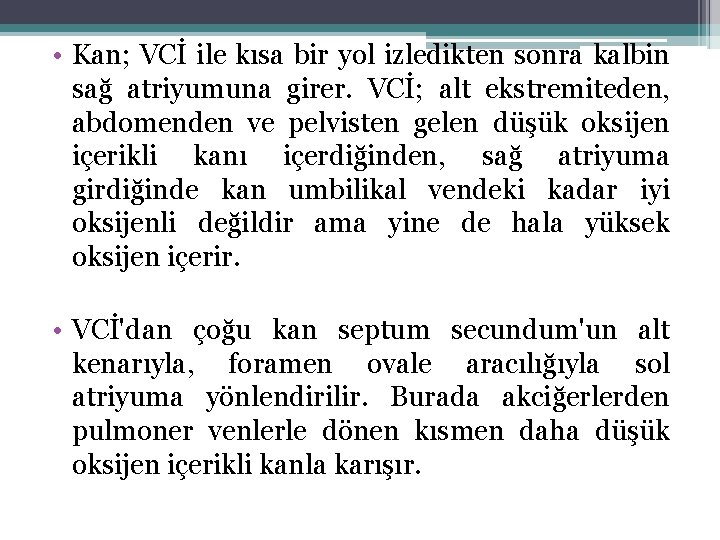  • Kan; VCİ ile kısa bir yol izledikten sonra kalbin sağ atriyumuna girer.