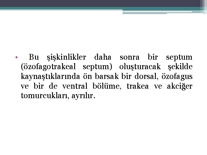  • Bu şişkinlikler daha sonra bir septum (özofagotrakeal septum) oluşturacak şekilde kaynaştıklarında ön