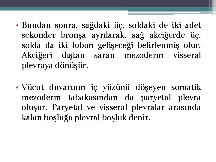  • Bundan sonra, sağdaki üç, soldaki de iki adet sekonder bronşa ayrılarak, sağ