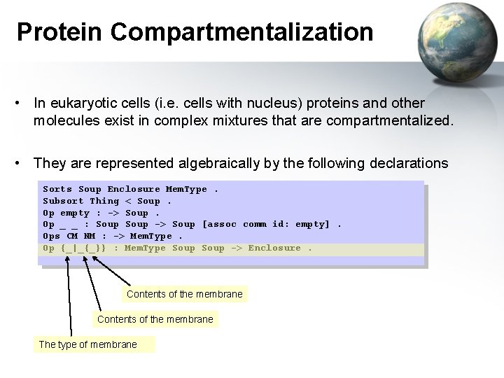 Protein Compartmentalization • In eukaryotic cells (i. e. cells with nucleus) proteins and other