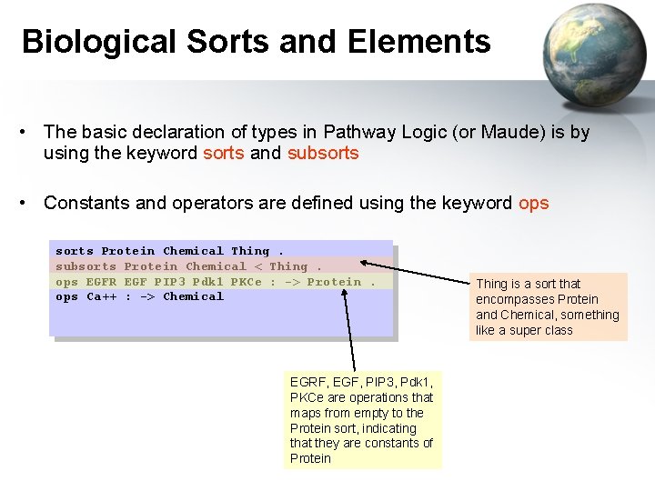 Biological Sorts and Elements • The basic declaration of types in Pathway Logic (or
