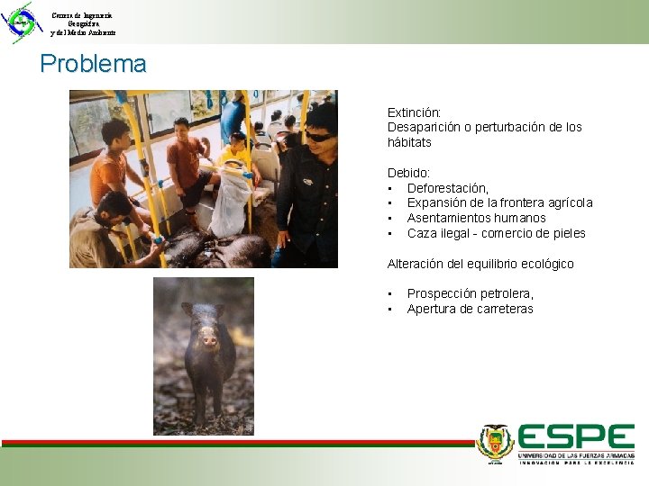 Carrera de Ingeniería Geográfica y del Medio Ambiente Problema Extinción: Desaparición o perturbación de