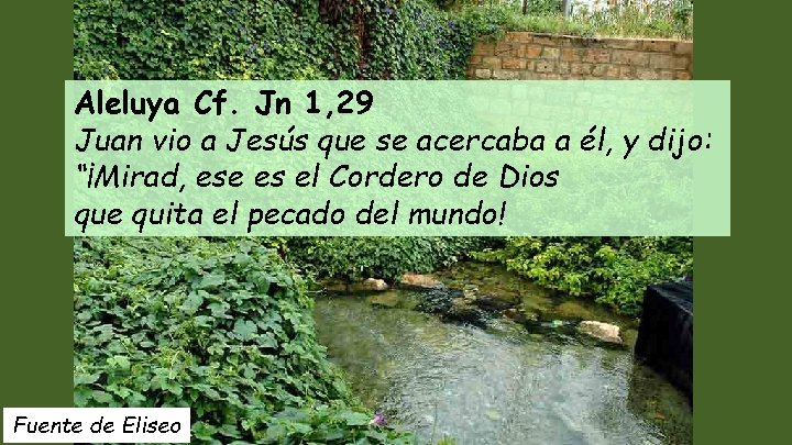 Aleluya Cf. Jn 1, 29 Juan vio a Jesús que se acercaba a él,