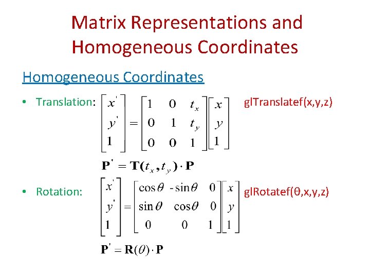 Matrix Representations and Homogeneous Coordinates • Translation: gl. Translatef(x, y, z) • Rotation: gl.