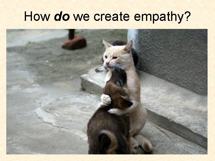 How do we create empathy? 