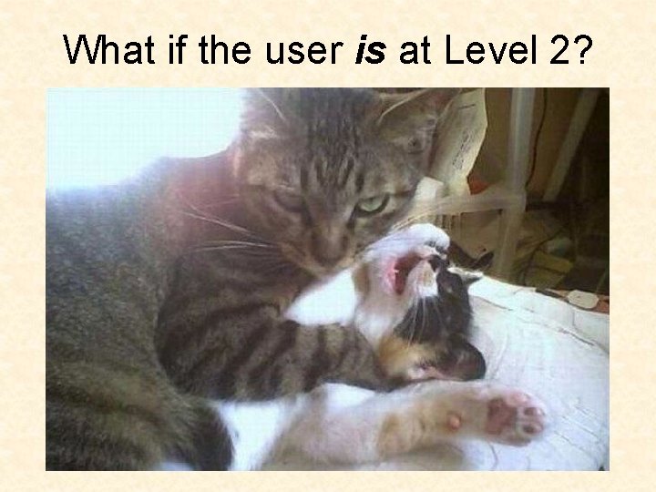What if the user is at Level 2? 