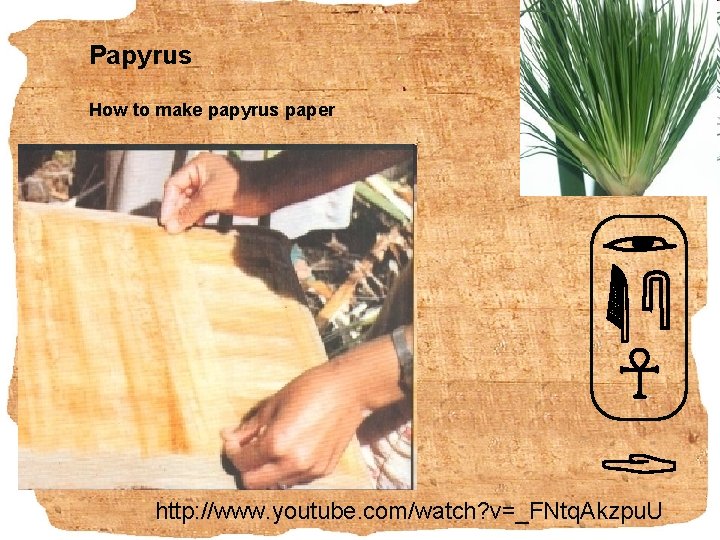 Papyrus How to make papyrus paper http: //www. youtube. com/watch? v=_FNtq. Akzpu. U 
