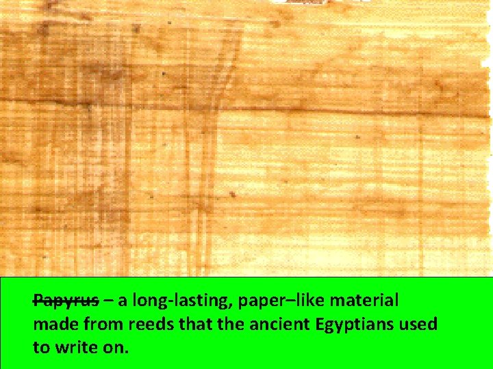 Papyrus – a long-lasting, paper–like material made from reeds that the ancient Egyptians used