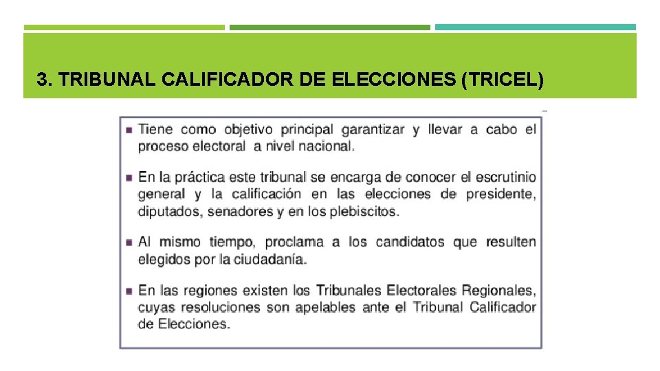 3. TRIBUNAL CALIFICADOR DE ELECCIONES (TRICEL) 