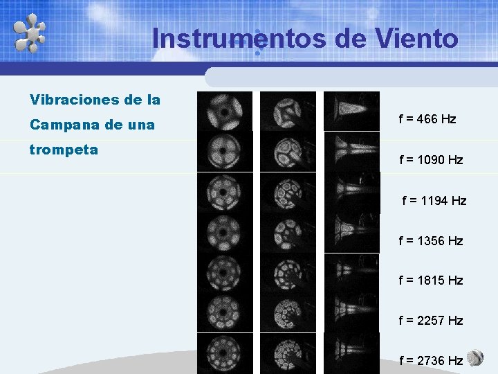 Instrumentos de Viento Vibraciones de la Campana de una trompeta f = 466 Hz